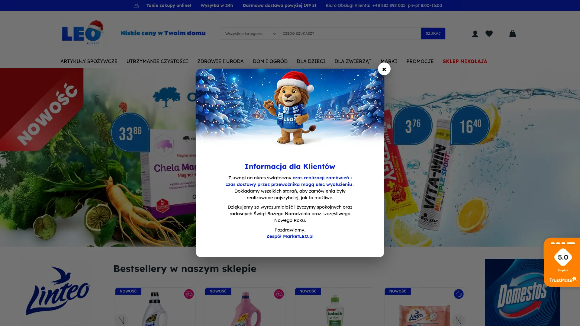 Screenshot of marketleo.pl