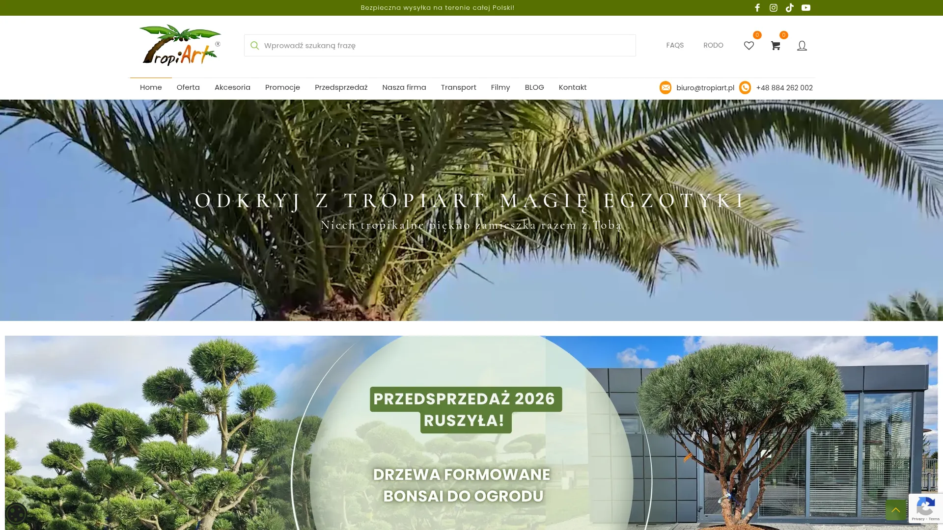 Screenshot of tropiart.pl